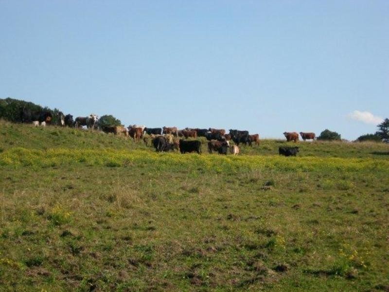 Lot/4 Bundaleer Road, Broken Head NSW 2481