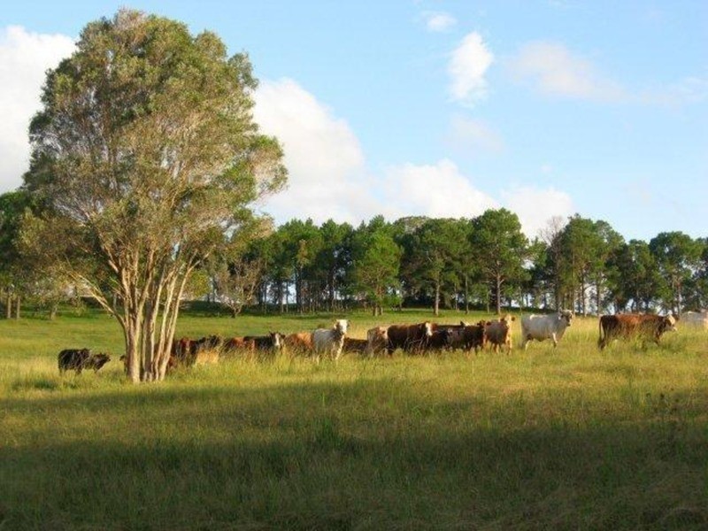 Lot/10 Bundaleer Road, Broken Head NSW 2481