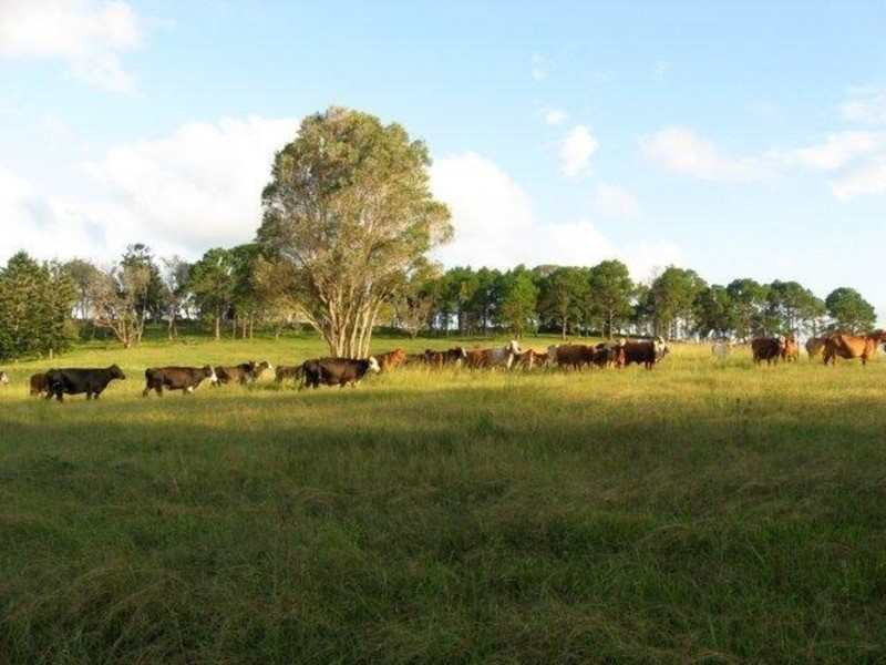 Lot /3 Bundaleer Road, Broken Head NSW 2481