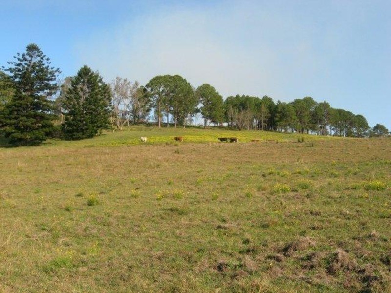 Lot /3 Bundaleer Road, Broken Head NSW 2481