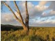 Lot /3 Bundaleer Road, Broken Head NSW 2481