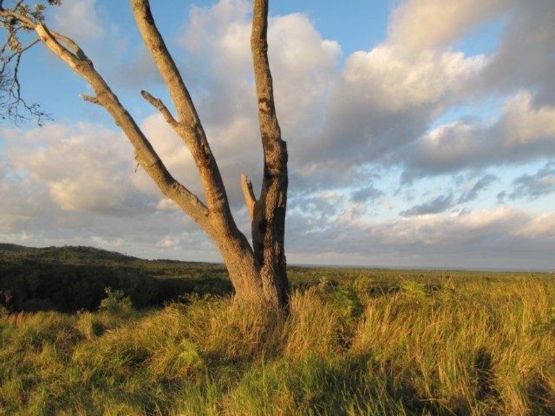 Lot /3 Bundaleer Road, Broken Head NSW 2481