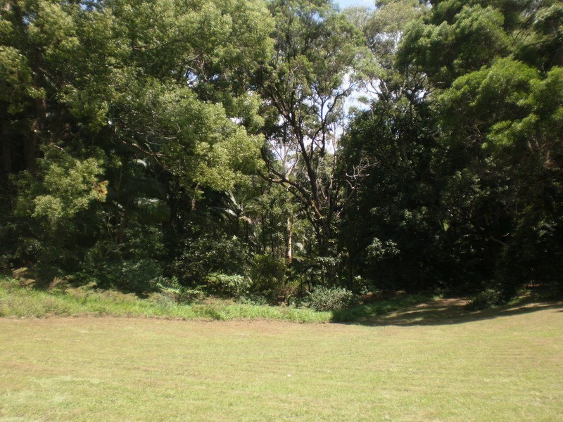 137 Mill Road, Huonbrook NSW 2482