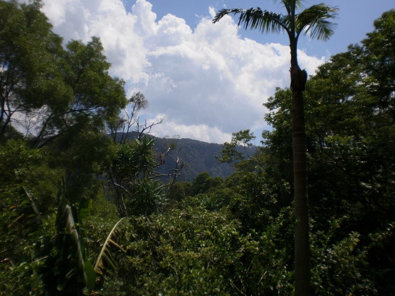 137 Mill Road, Huonbrook NSW 2482