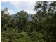 137 Mill Road, Huonbrook NSW 2482