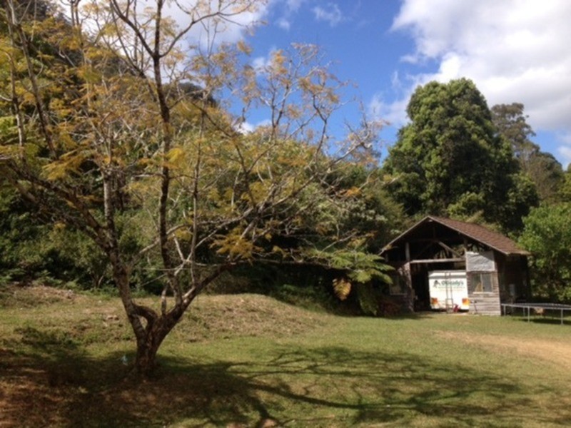 137 Mill Road, Huonbrook NSW 2482