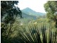 100 Settlement Road, Mullumbimby NSW 2482