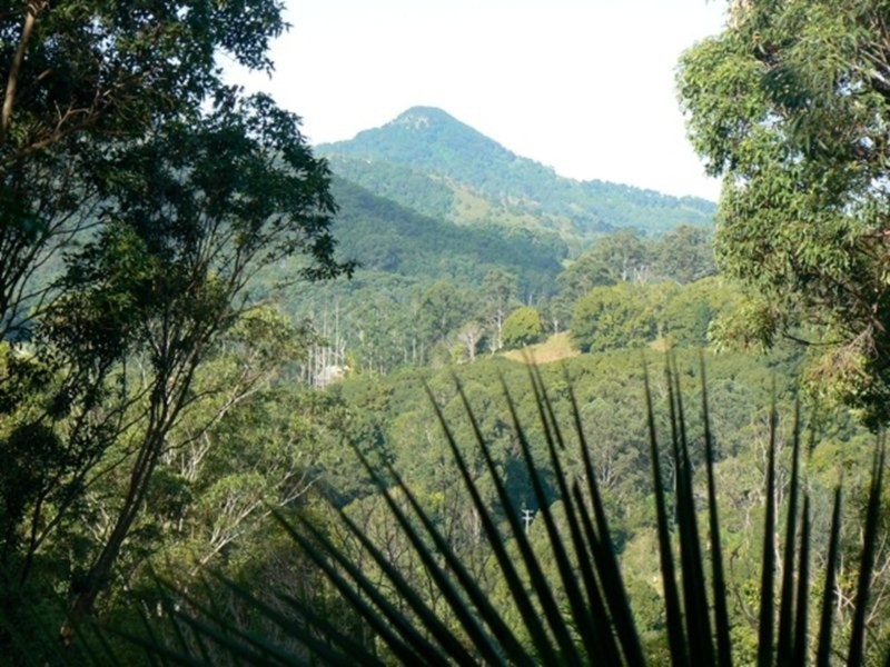 100 Settlement Road, Mullumbimby NSW 2482