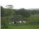 Lot 2 Pacific Highway, Tyagarah NSW 2481