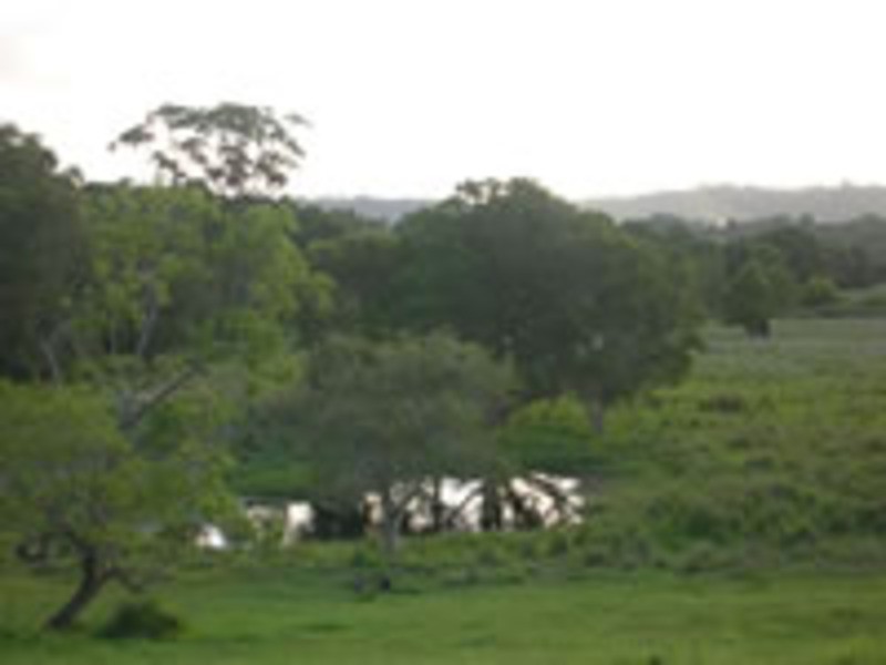 Lot 2 Pacific Highway, Tyagarah NSW 2481