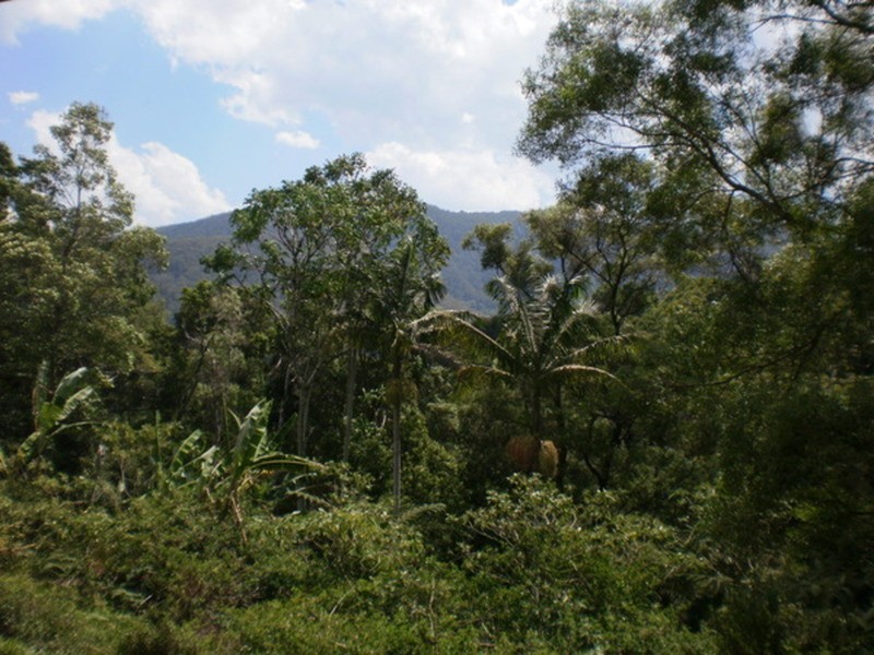 137 Mill Road, Huonbrook NSW 2482