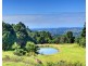 231 Frasers Road, Mullumbimby NSW 2482