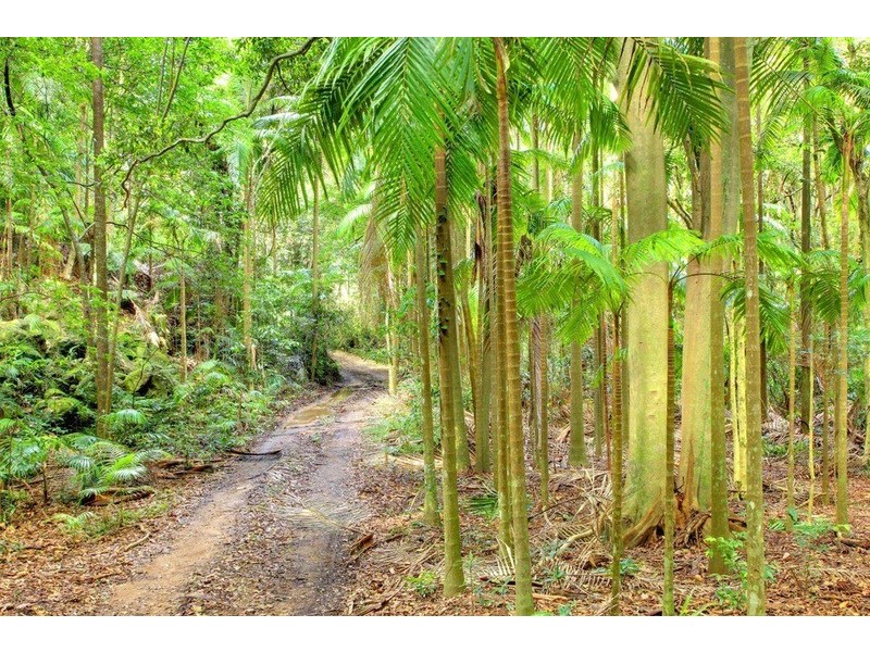 231 Frasers Road, Mullumbimby NSW 2482