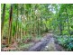 231 Frasers Road, Mullumbimby NSW 2482