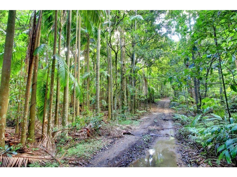 231 Frasers Road, Mullumbimby NSW 2482