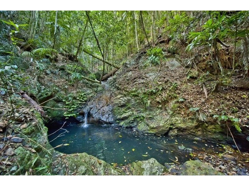 790 Upper Burringbar Road, Burringbar NSW 2483
