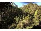790 Upper Burringbar Road, Burringbar NSW 2483
