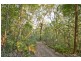 790 Upper Burringbar Road, Burringbar NSW 2483