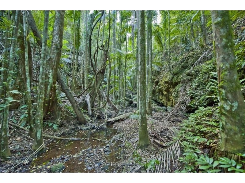 790 Upper Burringbar Road, Burringbar NSW 2483