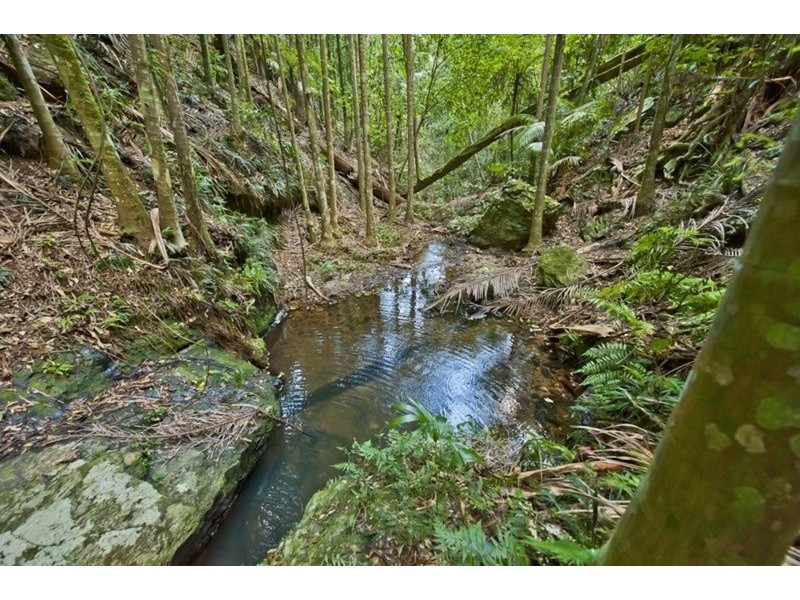 790 Upper Burringbar Road, Burringbar NSW 2483