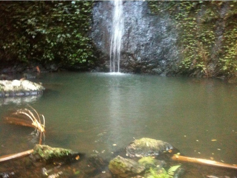 790 Upper Burringbar Road, Burringbar NSW 2483