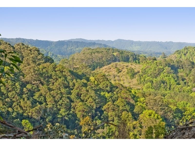 790 Upper Burringbar Road, Burringbar NSW 2483