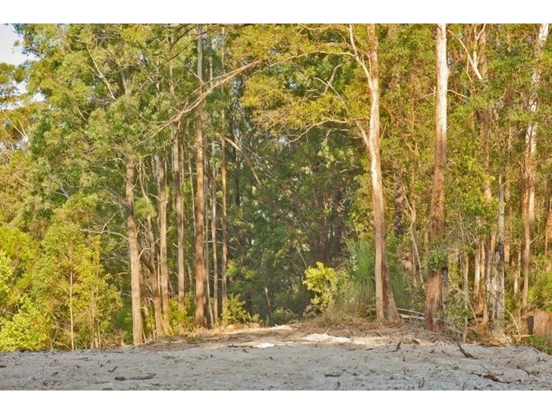 790 Upper Burringbar Road, Burringbar NSW 2483