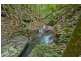 790 Upper Burringbar Road, Burringbar NSW 2483