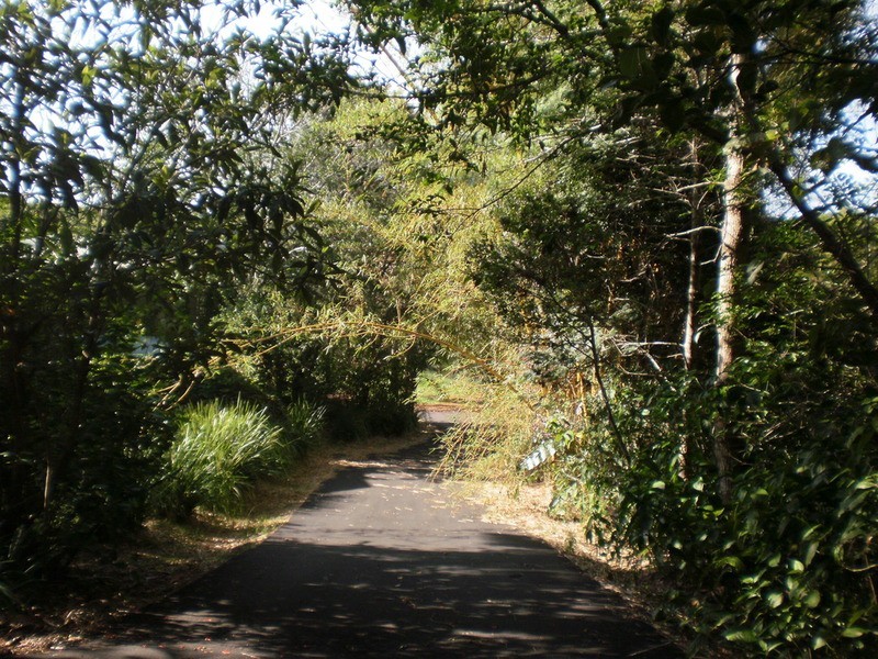 Lot 1/23 Coachwood  Court, Federal NSW 2480