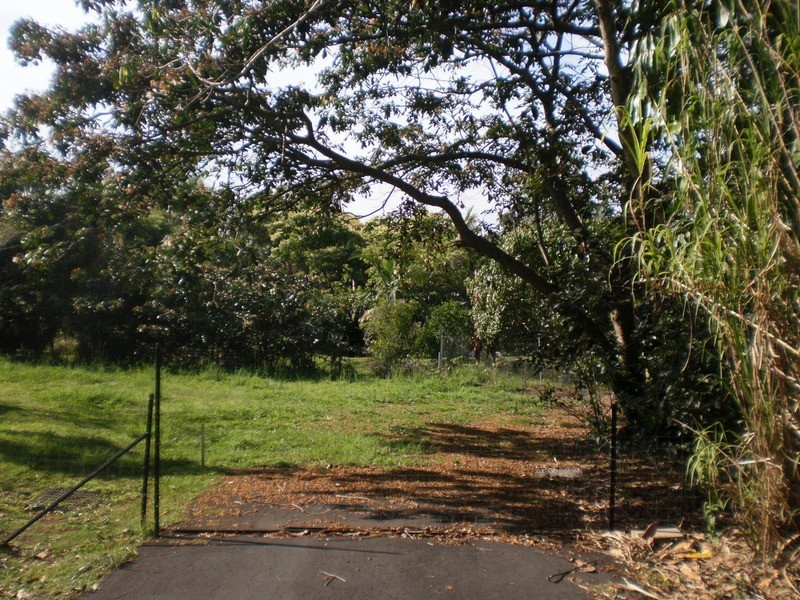 Lot 1/23 Coachwood  Court, Federal NSW 2480
