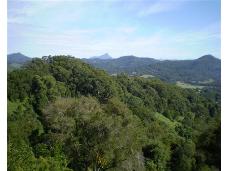 105 Hunter Street, Burringbar NSW 2483