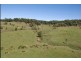 170-171 Tuckeroo Avenue, Mullumbimby NSW 2482