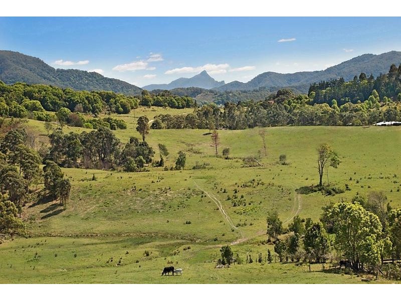170-171 Tuckeroo Avenue, Mullumbimby NSW 2482