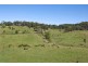 170-171 Tuckeroo Avenue, Mullumbimby NSW 2482