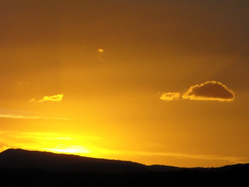 2/1344 Coolamon Scenic Drive, Mullumbimby NSW 2482