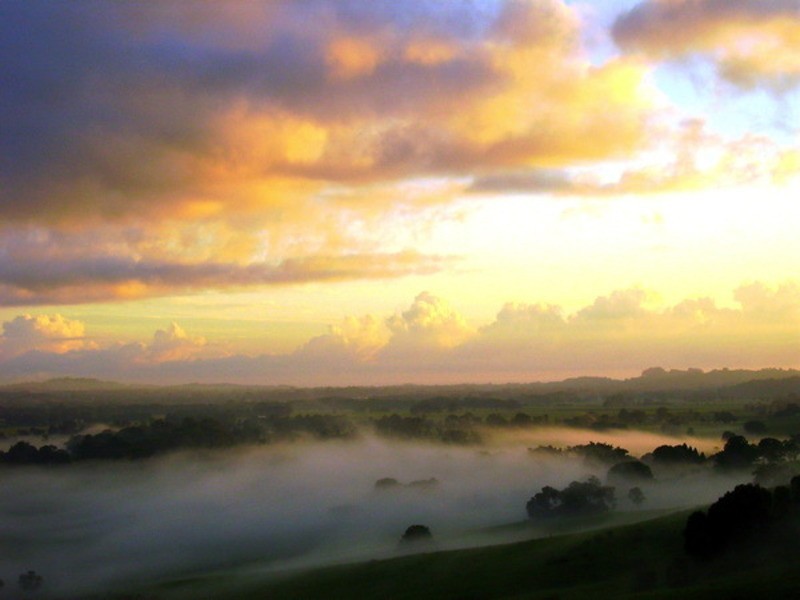 2/1344 Coolamon Scenic Drive, Mullumbimby NSW 2482