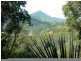 100 Settlement Road, Mullumbimby NSW 2482