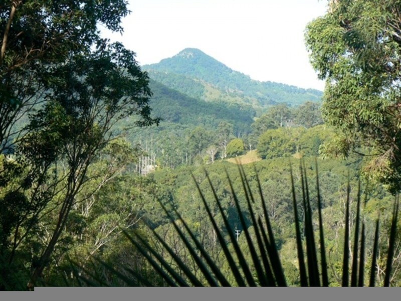 100 Settlement Road, Mullumbimby NSW 2482