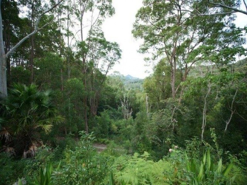 100 Settlement Road, Mullumbimby NSW 2482
