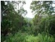 100 Settlement Road, Mullumbimby NSW 2482