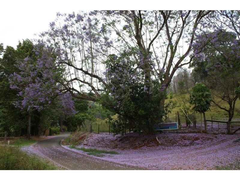 77 Geles Road, Burringbar NSW 2483