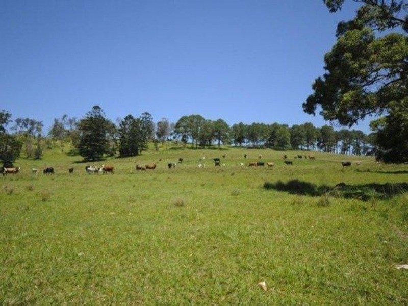 Lot/10 Bundaleer Road, Broken Head NSW 2481
