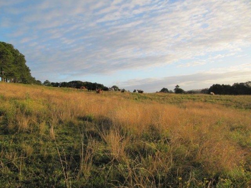 Lot/10 Bundaleer Road, Broken Head NSW 2481