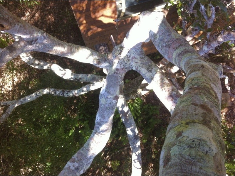 Lot 2 Bunjum, Seven Mile Beach Road, Broken Head NSW 2481