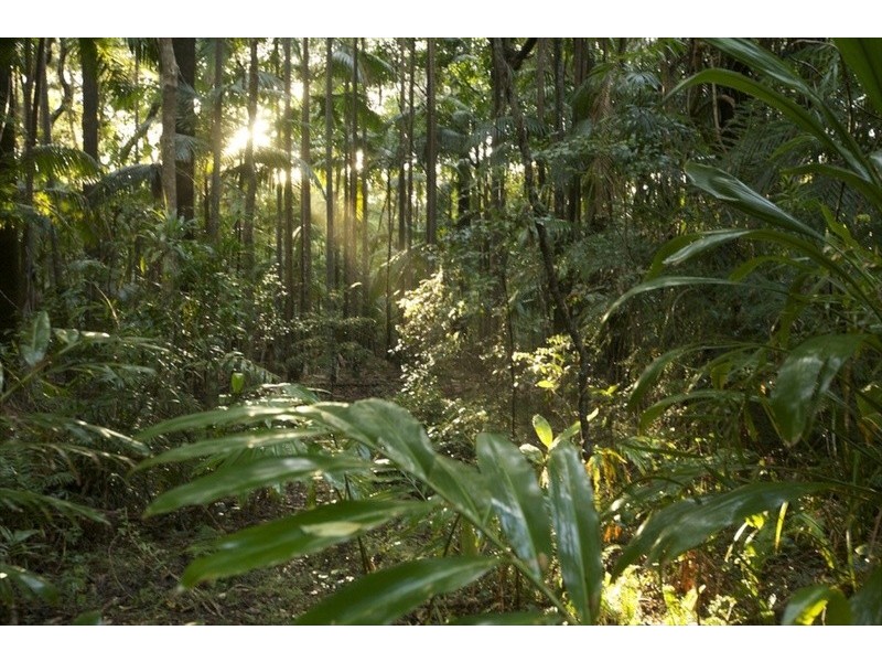 Lot 2 Bunjum, Seven Mile Beach Road, Broken Head NSW 2481