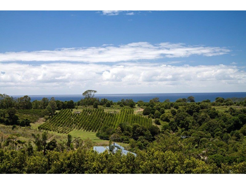 Coopers Shoot NSW 2479