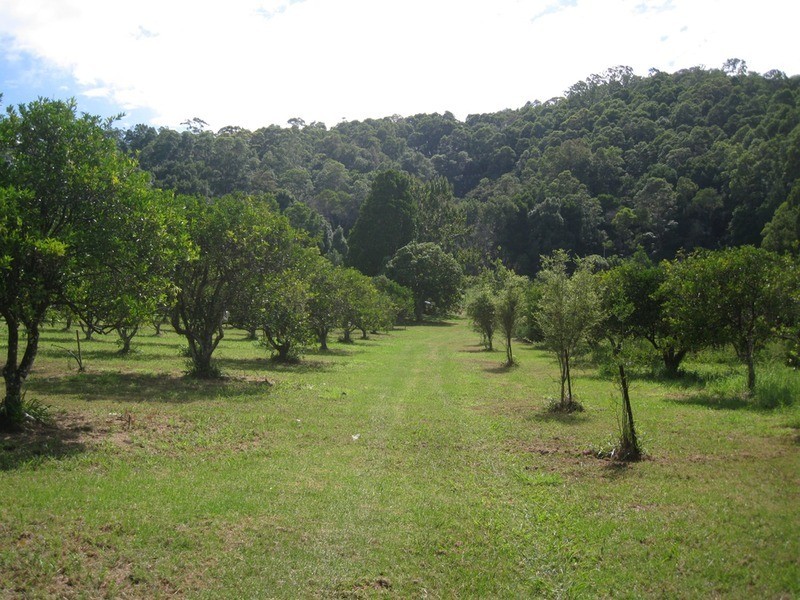 76 Howards Road, Burringbar NSW 2483