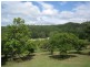 76 Howards Road, Burringbar NSW 2483