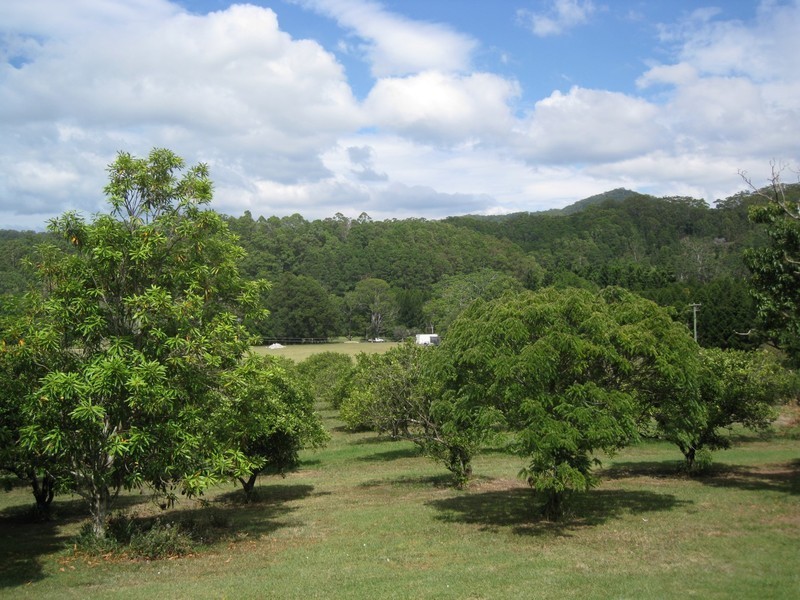 76 Howards Road, Burringbar NSW 2483