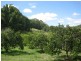 76 Howards Road, Burringbar NSW 2483
